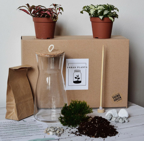 Urban Plants