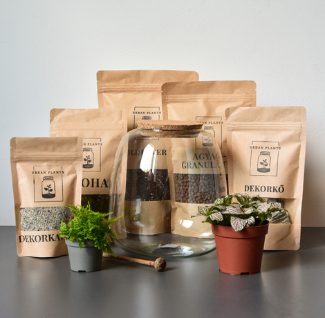 Urban Plants