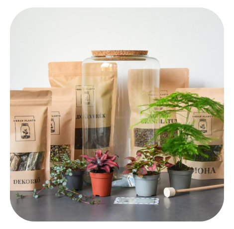 Komplett DIY florárium készlet üveggel, növényekkel és alapanyagokkal