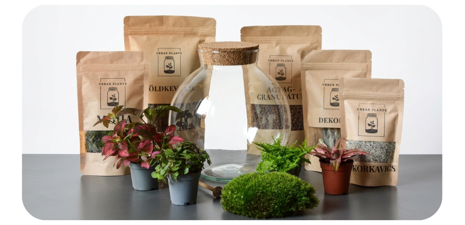 Komplett csináld magad DIY florárium készlet növényekkel és kiegészítőkkel.