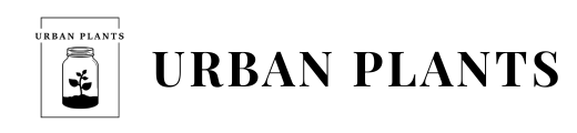 Urban Plants                        