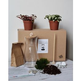 Lumi DIY készlet S