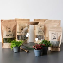 Lumi florárium diy