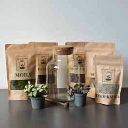 Ziva florárium diy