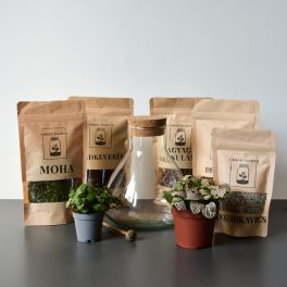 Kala florárium diy