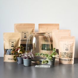 Vana florárium diy