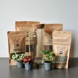 Ziva florárium diy